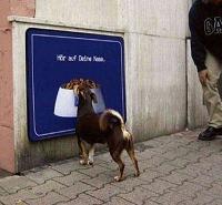 ネットワークビジネスとヘブン.jpg